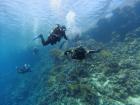  Ostatnie chwile na Panorama Reef